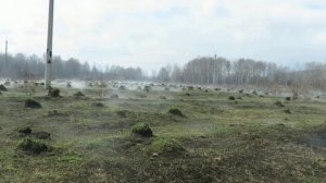 Земля парит - 1 мая 2019 г.