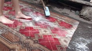 Лисана моет палас