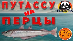 Путассу на перцы. Трофей Путассу на Норвежском море. Русская рыбалка 4. рр4. Russian Fishing 4