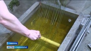 «Вести. Ставропольский край» 2.05.2026 (20.50)