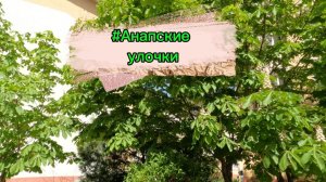 #Анапские прогулки. Улица Стахановская