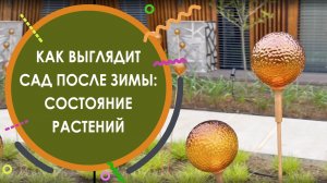 Сад весной после зимы: состояние растений