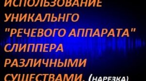 Использование уникального речевого аппарата слиппера различными существами. (нарезка фрагментов)