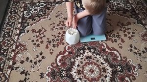 Внук где-то подсмотрел идею и давай копировать