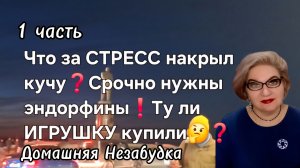 1 часть. Что за СТРЕСС накрыл кучу😱❓️Срочно нужны эндорфины❗️Ту ли игрушку они купили🤔❓️