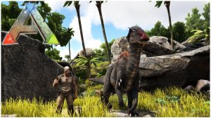 ARK