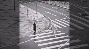 Краткий пересказ фильма