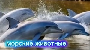 Морские друзья: дельфины, морские котики, моржи и черепахи 🌊