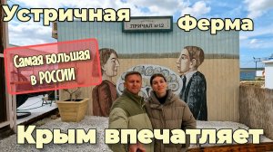 КРЫМ сезон 2026.Устрично-медийная ферма «Крымские Морепродукты» ЭКСКЛЮЗИВ! ВСЁ ПОКАЗЫВАЕМ в видео!