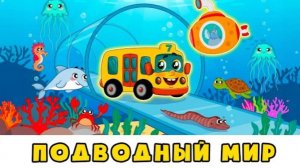 ПОДВОДНЫЙ МИР Учим ЛЕВО И ПРАВО | Автобус Борис