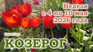 КОЗЕРОГ | ТАРО прогноз на неделю с 4 по 10 мая 2026 года