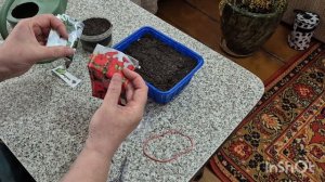 Дела хозяйские/ Переменчивая погода