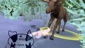 Вилд крафт)