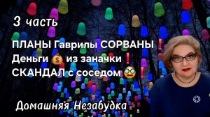 3 часть. ПЛАНЫ Гаврилы СОРВАНЫ😭❗️Деньги 💰 из ЗАНАЧКИ❗️СКАНДАЛ с соседом🥸❗️