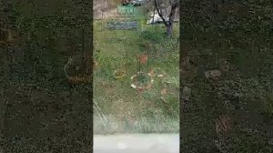 02-05-2026