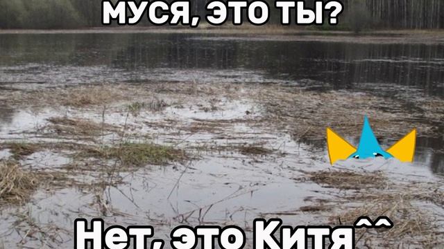 О, Муся^^ смотреть онлайн