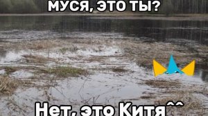 О, Муся^^