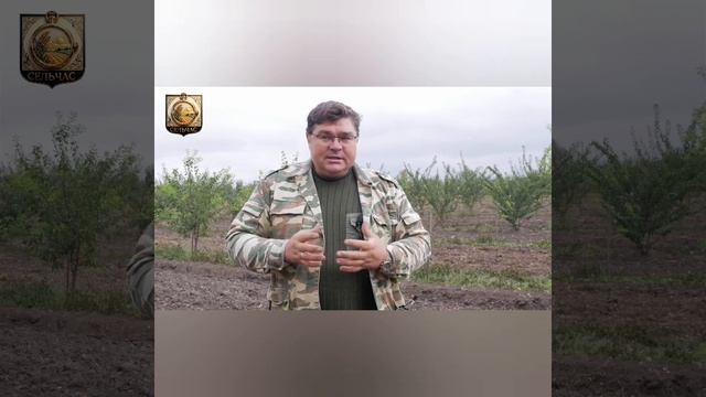 Топ сортов смородины. Какие выбрать.