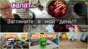 Загляните в мой день//салат