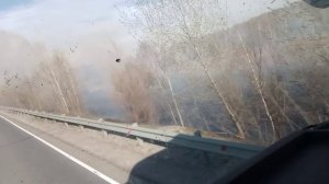 лесные пожары