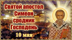 Святой апостол Симеон сродник Господень. 10 мая.