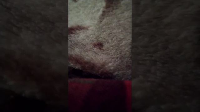 Подпишись по-братски подпишись по-братски подпишись по-братски подпишись по-братски Подпишись!!!!!!! смотреть онлайн