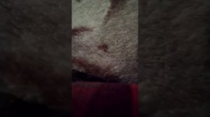 Подпишись по-братски подпишись по-братски подпишись по-братски подпишись по-братски Подпишись!!!!!!!