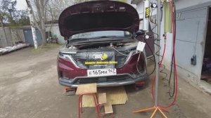 Kia Carnival 4 D4HE 2.2 CRDi Промывка впуска, топливной и масляной системы по технологии BG ArmActiv