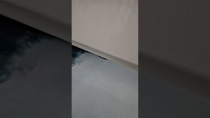 игры с котом