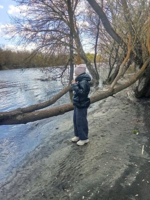 трансляция