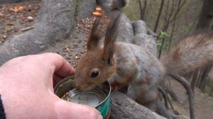 Модель и знакомый дятел. Зарисовка