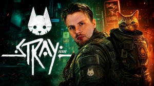 Маленький, но смелый котик▶Stray #1