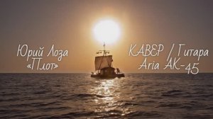 Плот _ КАВЕР _ Гитара _ Aria AK-45 _ 29.03.2026