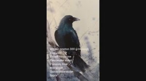 Как нарисовать ворону акварелью