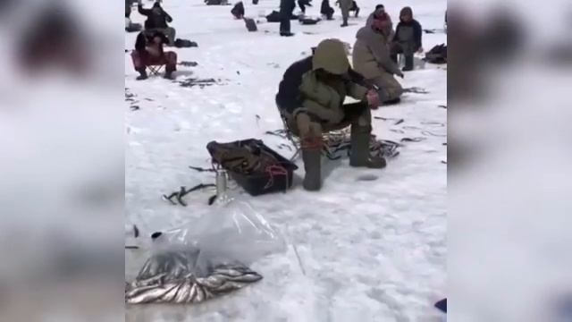 Песня о сахалинской рыбалке. Павел Гавриков