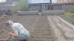 Делаю грядочки под морковку 🥕🥕🍀🤭🙃