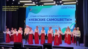 Концерт СИНЯЯ ПТИЦА, ансамбль НЕВСКИЕ САМОЦВЕТЫ, 28.04.2026