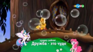 топ 1 карусель плашка (02.09.2025)