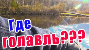 РЫБАЛКА СУПЕР!!! ПОИСК ГОЛАВЛЯ ВЕСНОЙ!!!