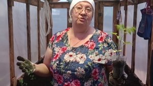 02-05-2026 День с нами.Огородные дела.И в магазин успели сбегать.Распаковка.