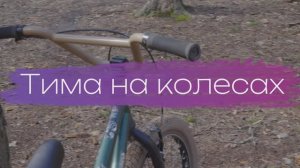 Тима на колесах