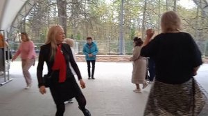 VID_20260502_163006.mp4