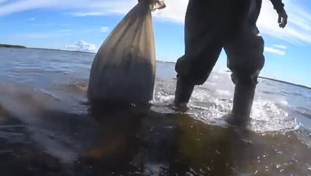 РЫБЫ ПОЛНЫЙ КАРТОФЕЛЬНЫЙ МЕШОК ПОПАЛО В СЕТКУ В МОРЕ НА КОЛАХ!