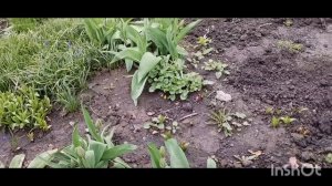 1/05 /2026 /навожу красоту /как живут в русской деревне..