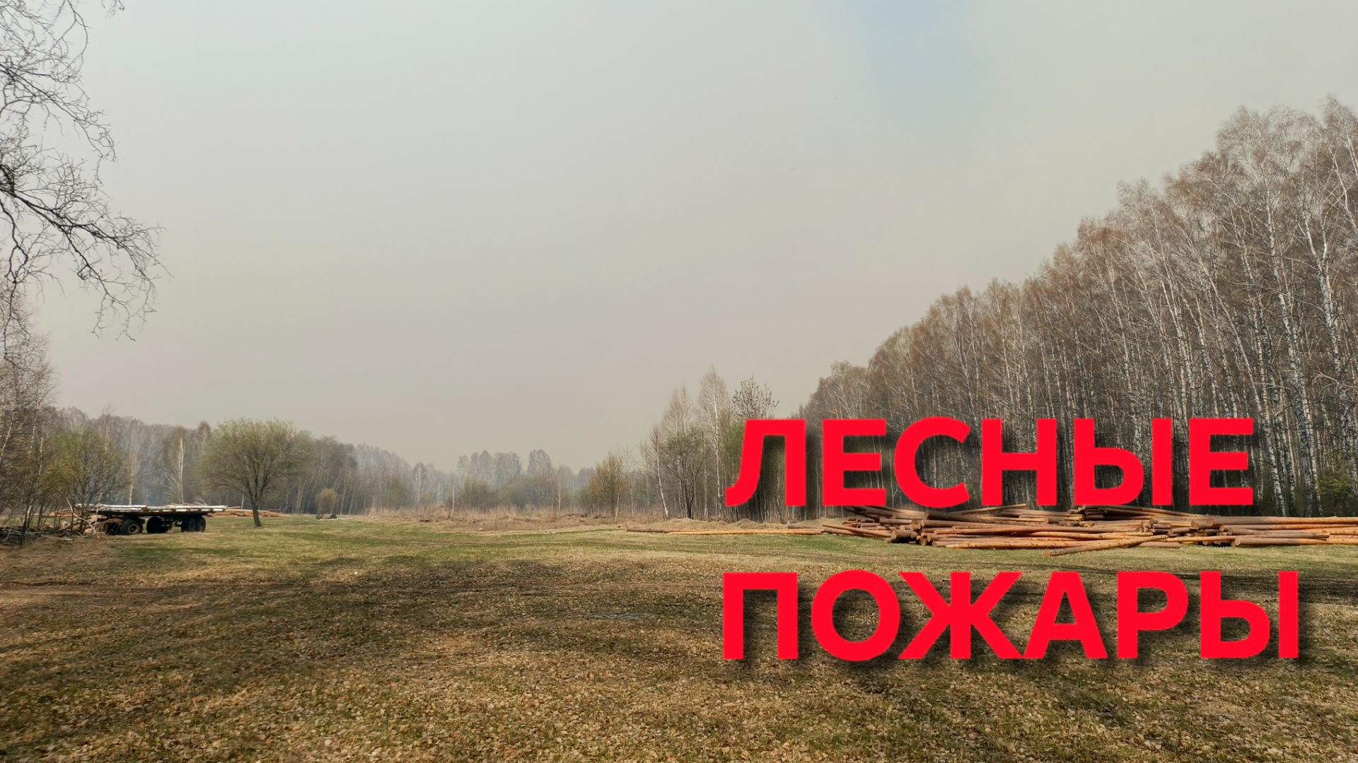 Лесные пожары начались у нас в Сибири Ветер ураганный и все в дыму