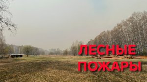 Лесные пожары начались у нас в Сибири Ветер ураганный и все в дыму