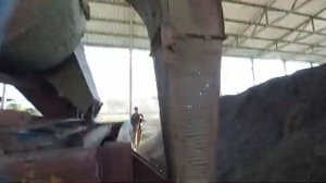 как мы подрабатываем крупноплодный подсолнечник на ОВС-25
