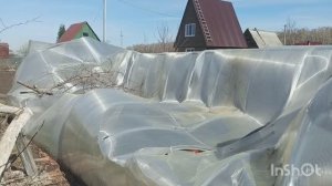 Мы на даче//начали разбирать теплицу//первые Весенние цветочки