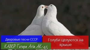 Голуби целуются на крыше _ Дворовые песни СССР_ КАВЕР _ Гитара _ Aria AK-45 _ 12.04.2026