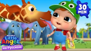 Малыш Саша в Зоопарке. Развивающие Мультики Для Детей. Little Angel Русский.